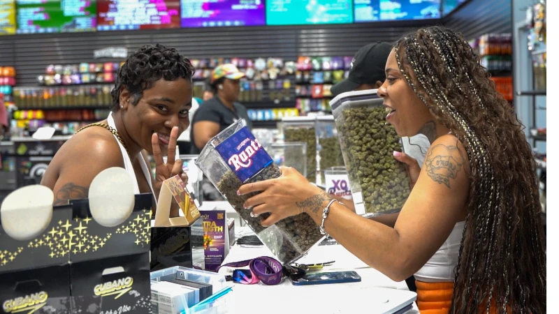 Detroit Michigan cannabis dispensary storefront